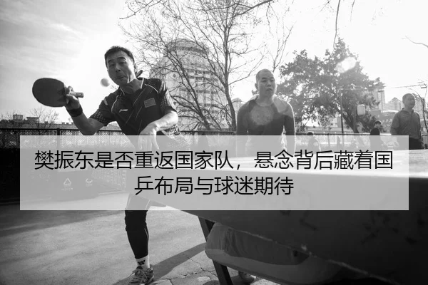樊振东是否重返国家队，悬念背后藏着国乒布局与球迷期待 - okooo